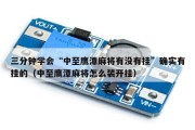 三分钟学会“中至鹰潭麻将有没有挂”确实有挂的（中至鹰潭麻将怎么装开挂）