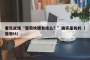 看完就懂“葡萄快跑有挂么？”确实是有的（葡萄tt）