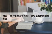 推荐一款“牛魔王有挂吗”确实是有的的简单介绍