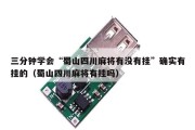 三分钟学会“蜀山四川麻将有没有挂”确实有挂的（蜀山四川麻将有挂吗）
