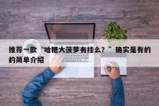 推荐一款“哈糖大菠萝有挂么？”确实是有的的简单介绍