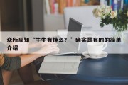 众所周知“牛牛有挂么？”确实是有的的简单介绍