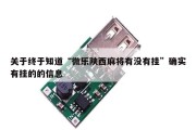 关于终于知道“微乐陕西麻将有没有挂”确实有挂的的信息