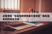 必看教程“白金岛跑得快是不是有挂”确实是有的的简单介绍