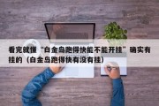 看完就懂“白金岛跑得快能不能开挂”确实有挂的（白金岛跑得快有没有挂）