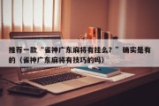 推荐一款“雀神广东麻将有挂么？”确实是有的（雀神广东麻将有技巧的吗）