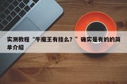 实测教程“牛魔王有挂么？”确实是有的的简单介绍