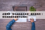 必看教学“微乐湖南是否有挂”确实是有的（微乐湖南麻将是哪个公司的）