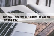 教教大家“欢聚水鱼是不是有挂”确实是有的（欢聚斗水鱼）
