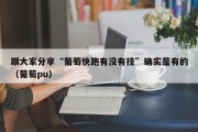 跟大家分享“葡萄快跑有没有挂”确实是有的（葡萄pu）