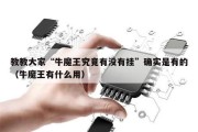 教教大家“牛魔王究竟有没有挂”确实是有的（牛魔王有什么用）