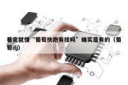 看完就懂“葡萄快跑有挂吗”确实是有的（葡萄dj）