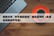 教教大家“牛牛真的有挂”确实是有的（有谁买到真的牛牛挂）