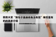 教教大家“微乐宁夏麻将有没有挂”确实是有的的简单介绍